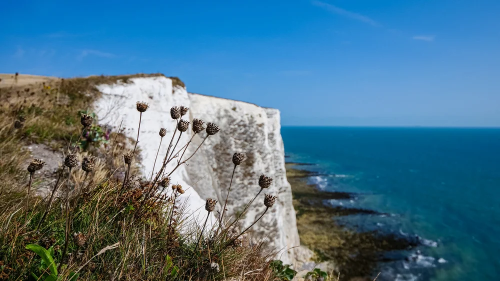 13 September 10-55-32 ALEX.jpeg