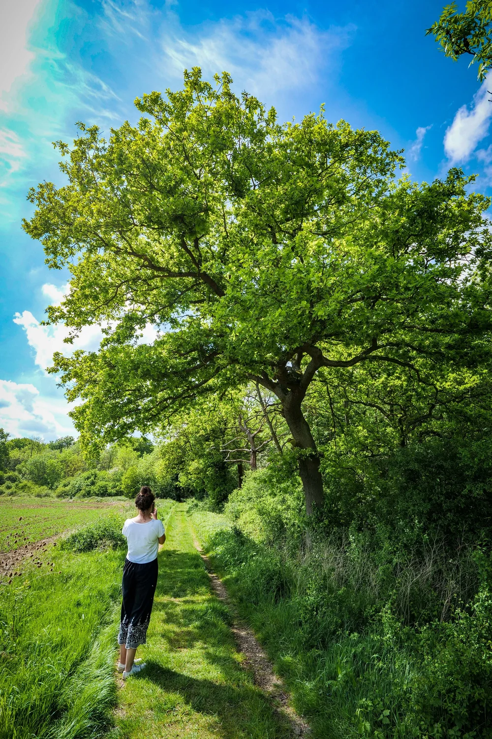 08 May 13-07-26 ALEX.jpeg