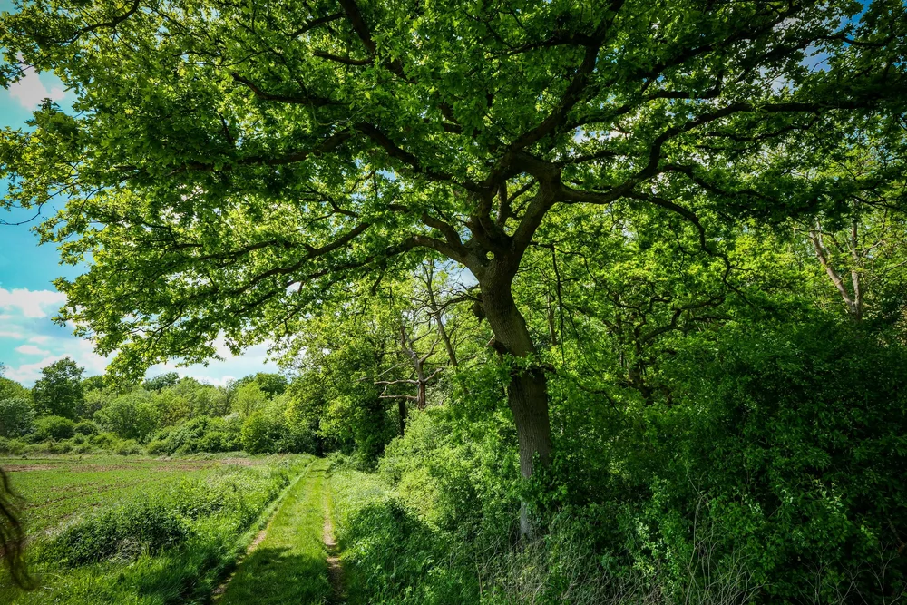 08 May 13-07-12 ALEX.jpeg