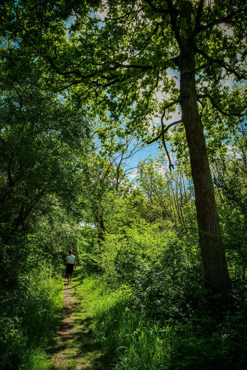 08 May 13-09-54 ALEX.jpeg