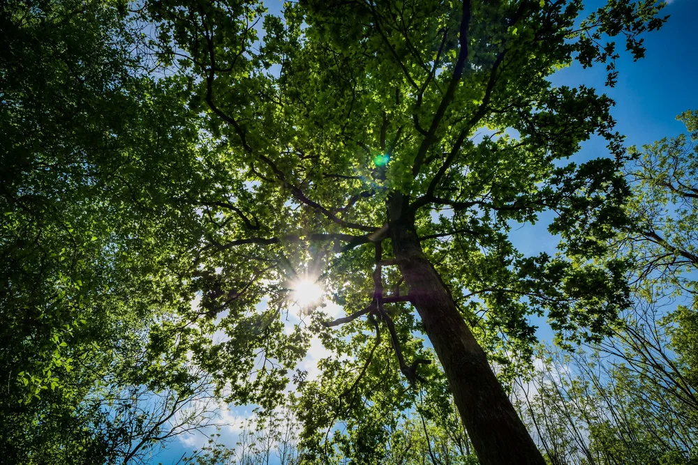 08 May 13-10-05 ALEX.jpeg