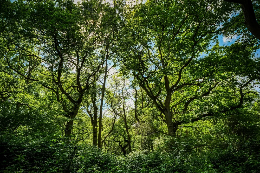 08 May 13-13-31 ALEX.jpeg