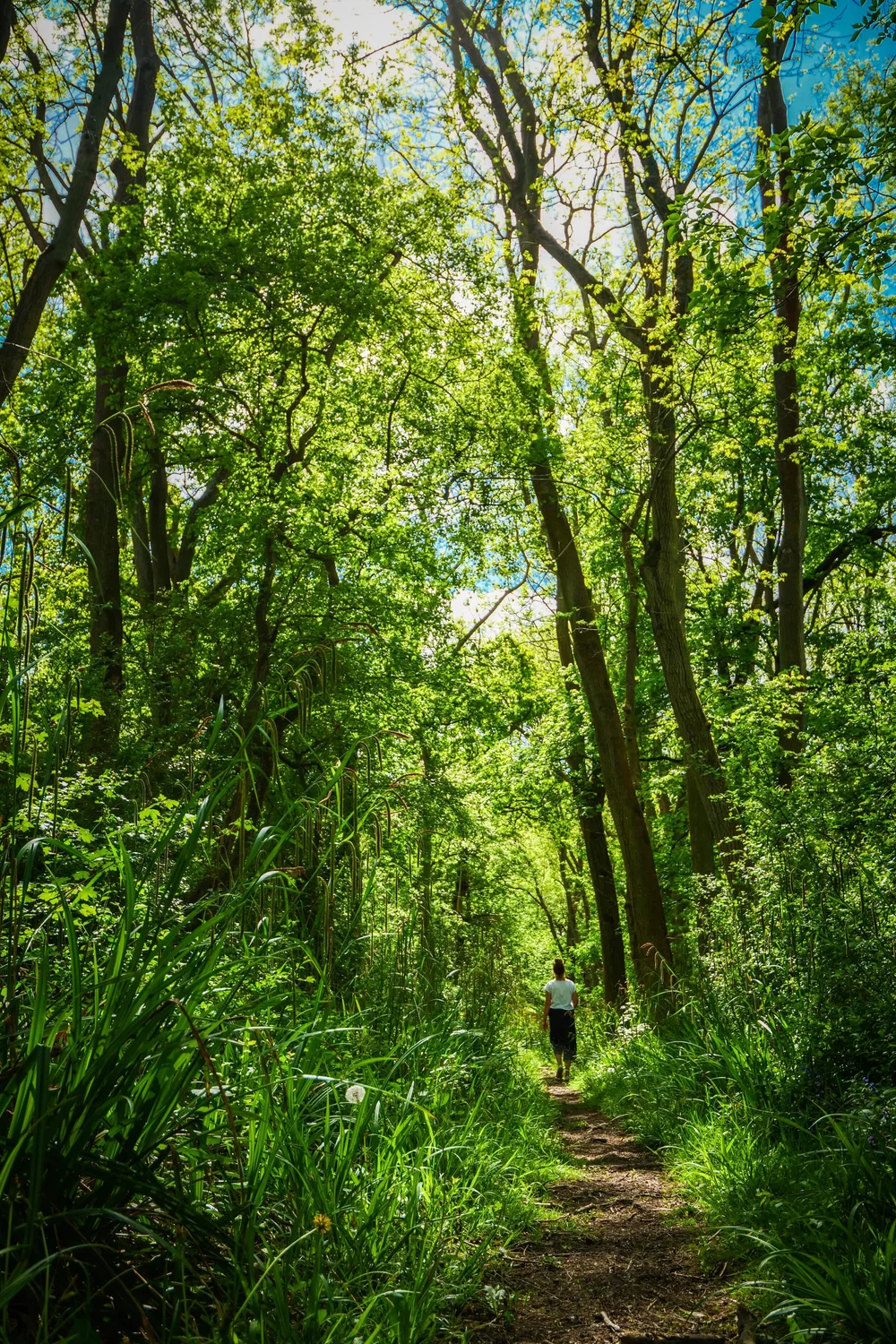 08 May 13-15-29 ALEX.jpeg