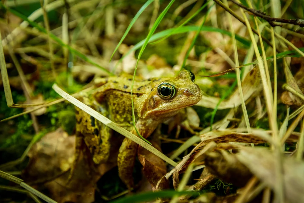 08 May 13-36-34 ALEX.jpeg