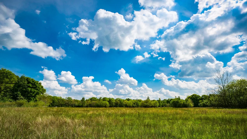 08 May 13-58-06 ALEX.jpeg