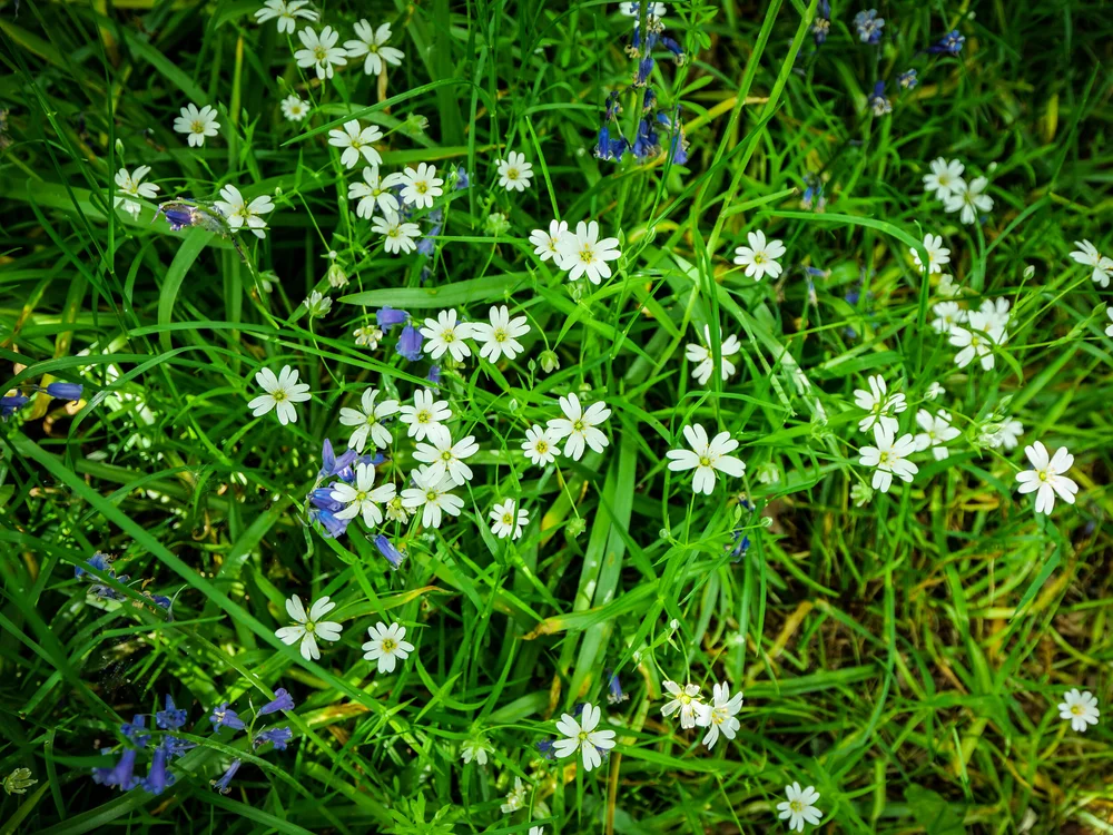 08 May 14-00-12 ALEX.jpeg