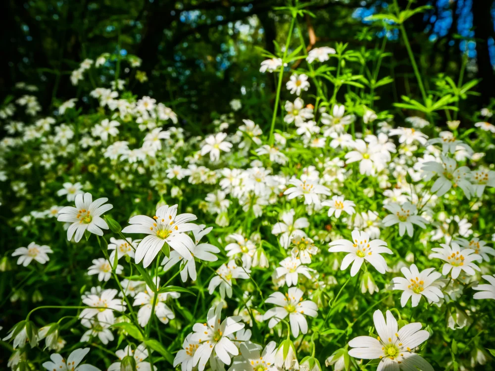 08 May 14-02-26 ALEX.jpeg