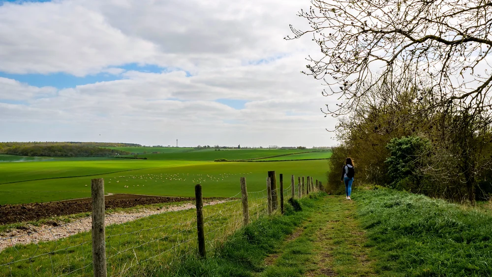 13 April 14-01-19 ALEX.jpeg