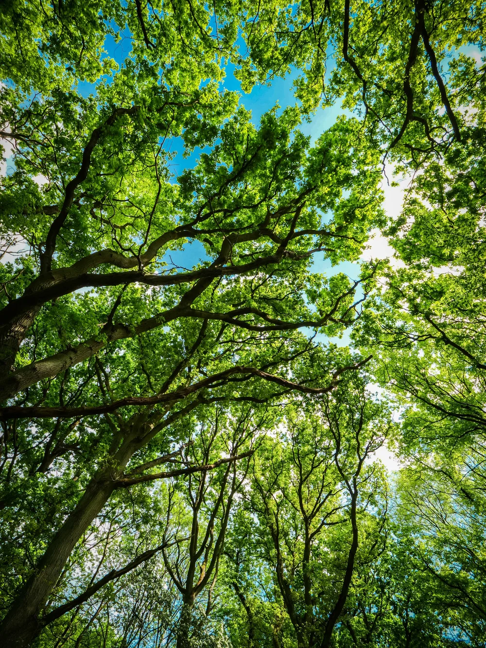 08 May 14-03-21 ALEX.jpeg