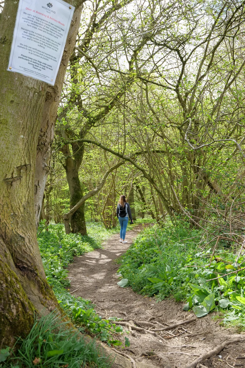 13 April 14-02-22 ALEX.jpeg