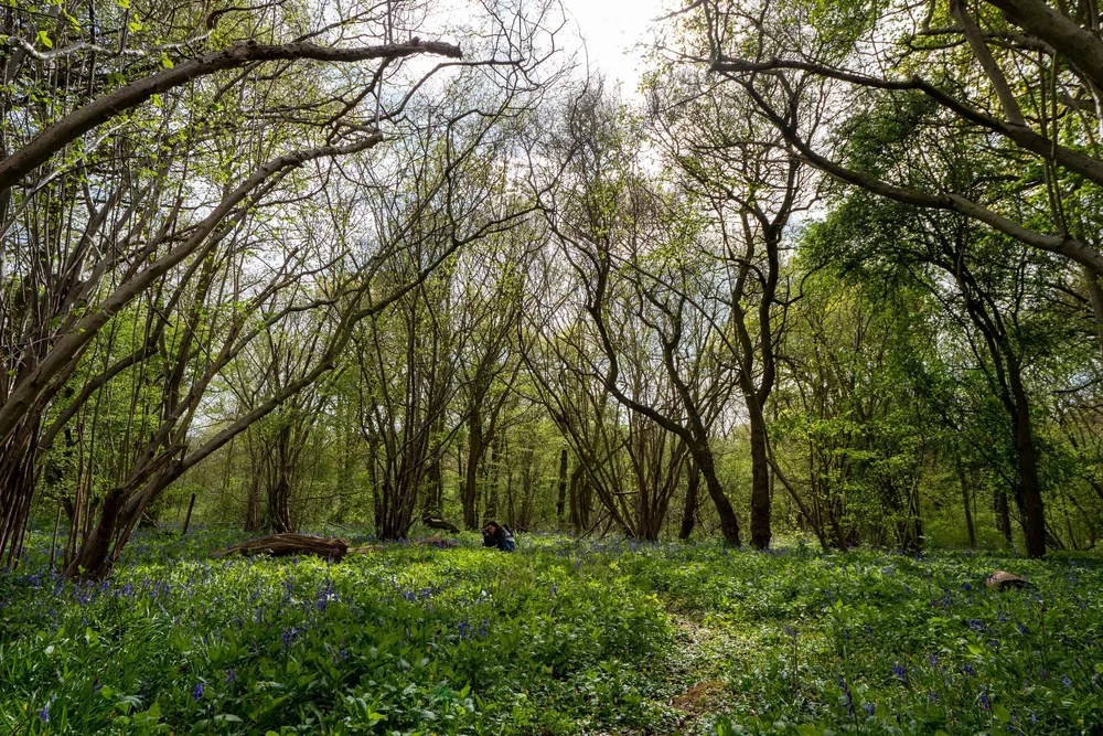 13 April 14-03-03 ALEX.jpeg