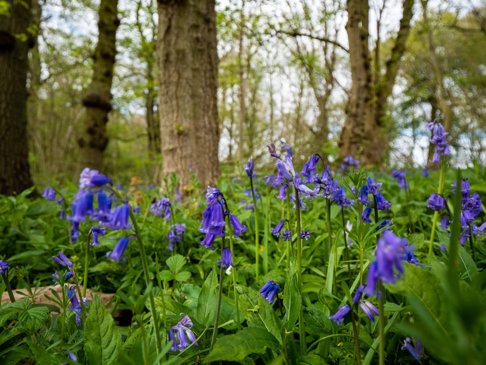 13 April 14-07-05 ALEX.jpeg