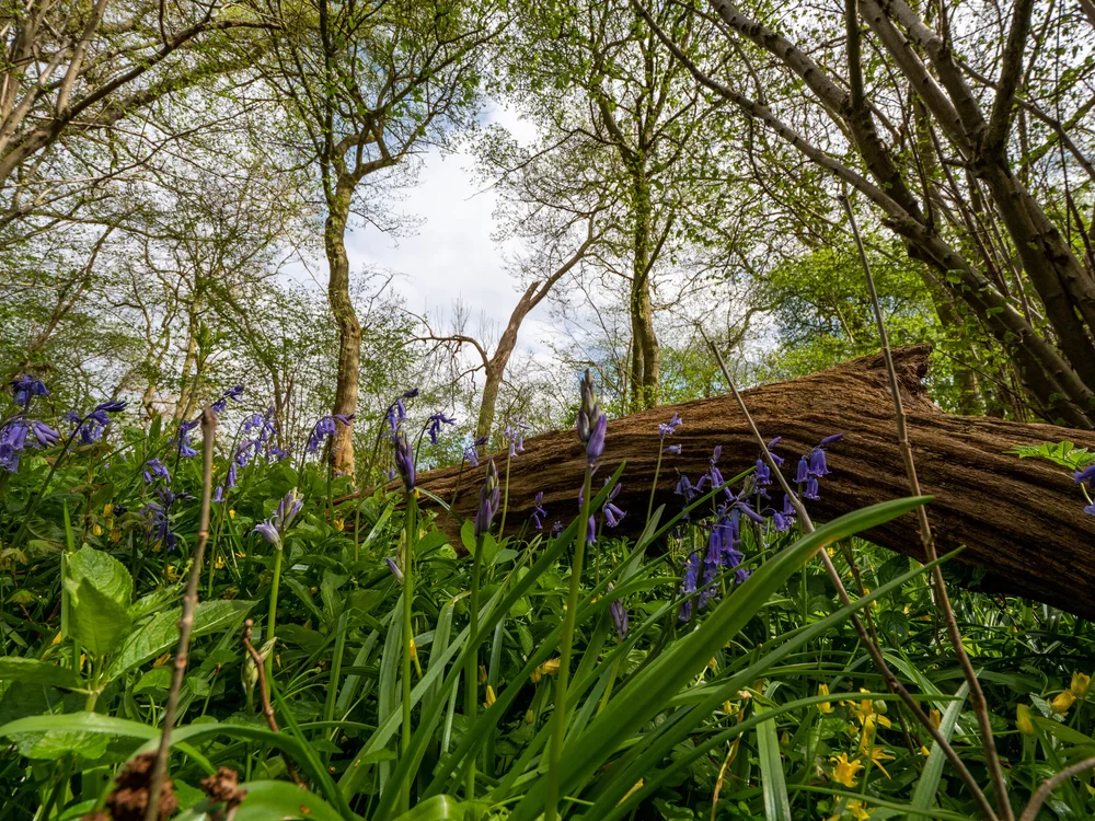 13 April 14-04-50 ALEX.jpeg