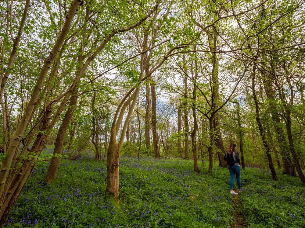 13 April 14-07-57 ALEX.jpeg