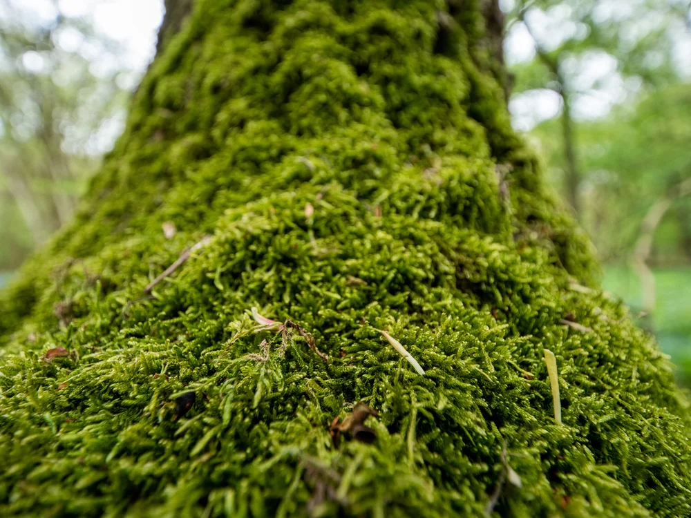 13 April 14-12-54 ALEX.jpeg