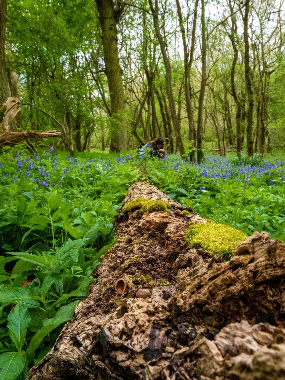 13 April 14-19-39 ALEX.jpeg