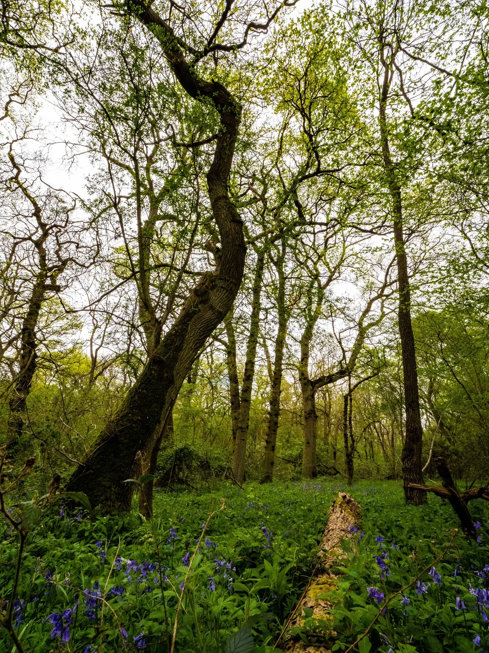 13 April 14-22-50 ALEX.jpeg