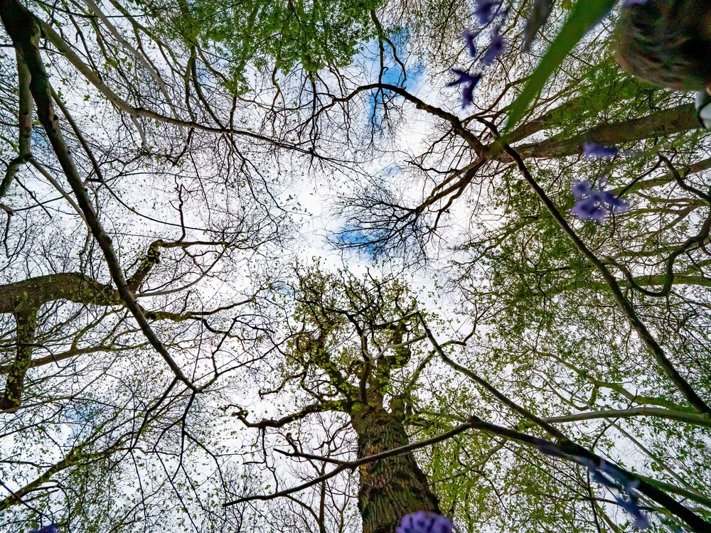 13 April 14-59-48 ALEX.jpeg