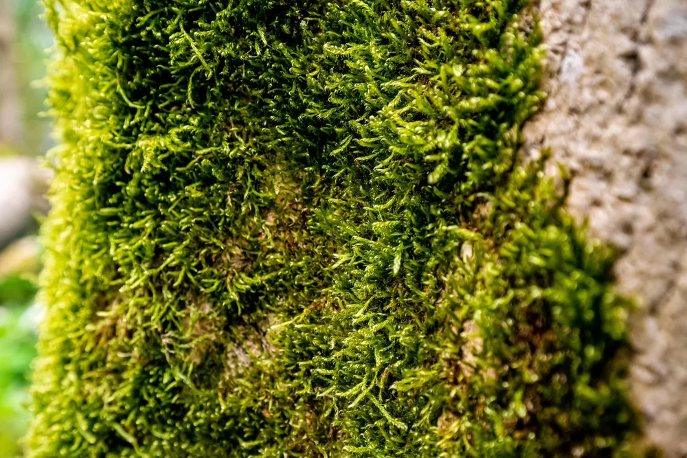 13 April 15-08-41 ALEX.jpeg