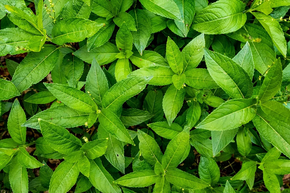 13 April 15-09-46 ALEX.jpeg