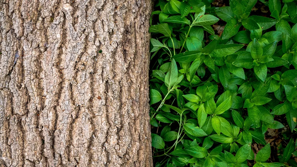 13 April 15-10-03 ALEX.jpeg