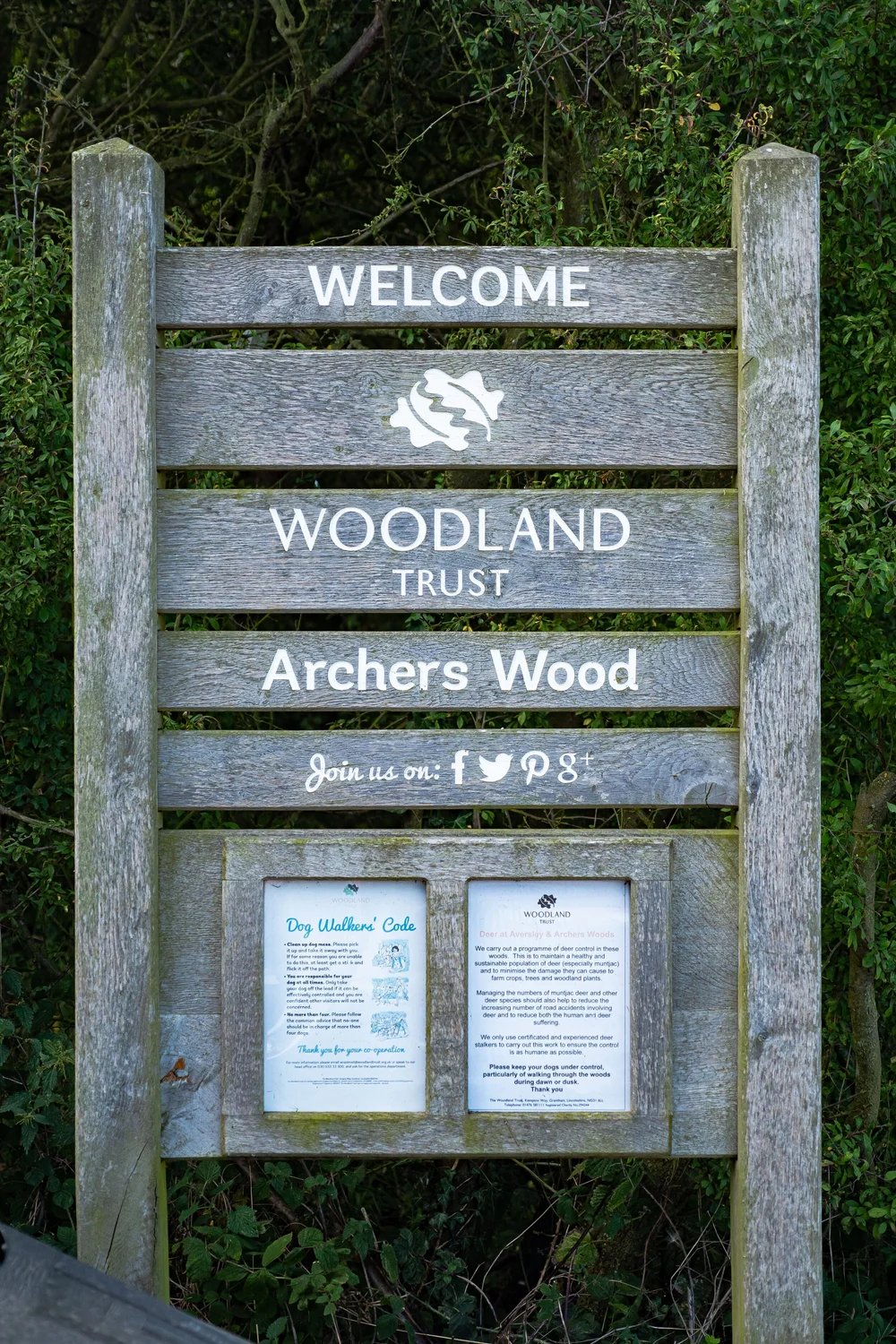 08 August 09-59-29 ALEX.jpeg