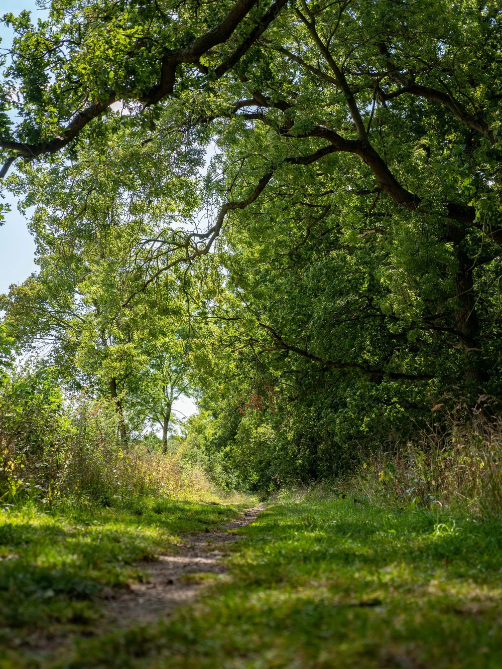 08 August 10-02-57 ALEX.jpeg