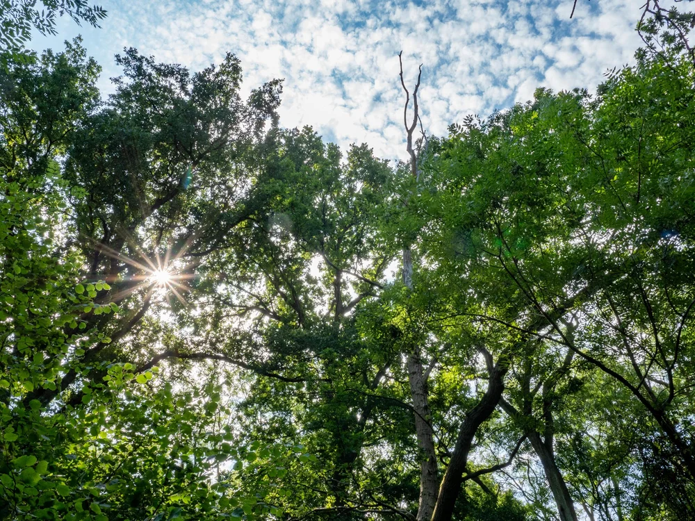 08 August 10-06-40 ALEX.jpeg