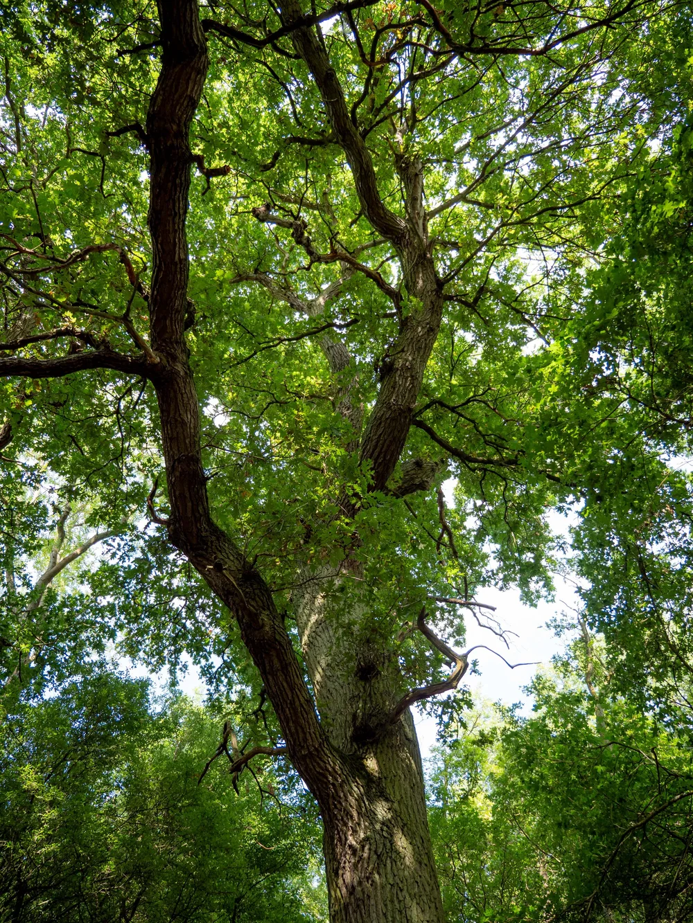 08 August 10-20-33 ALEX.jpeg