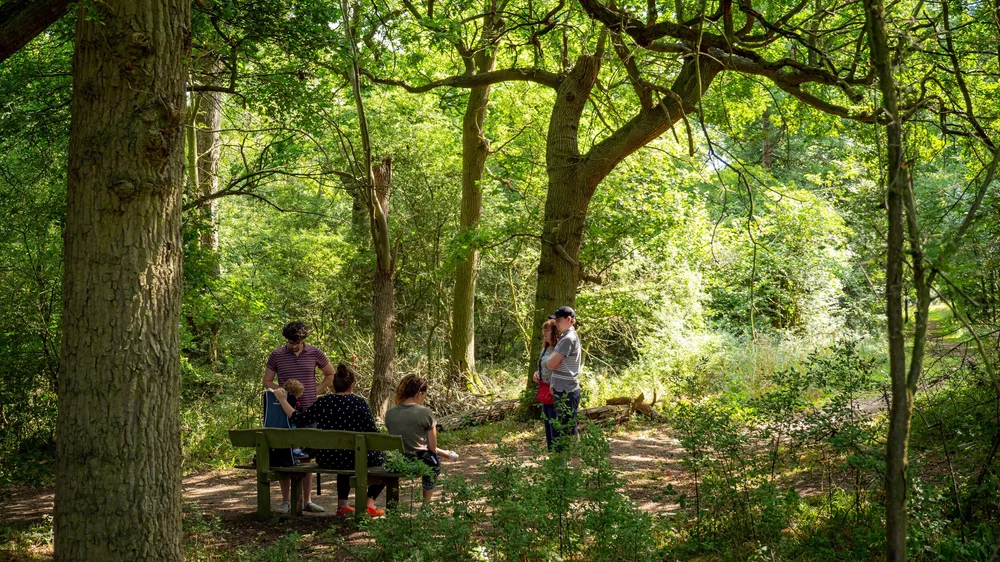 08 August 10-22-01 ALEX.jpeg