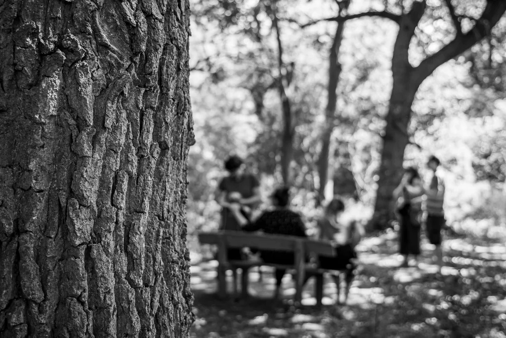 08 August 10-22-19 ALEX.jpeg