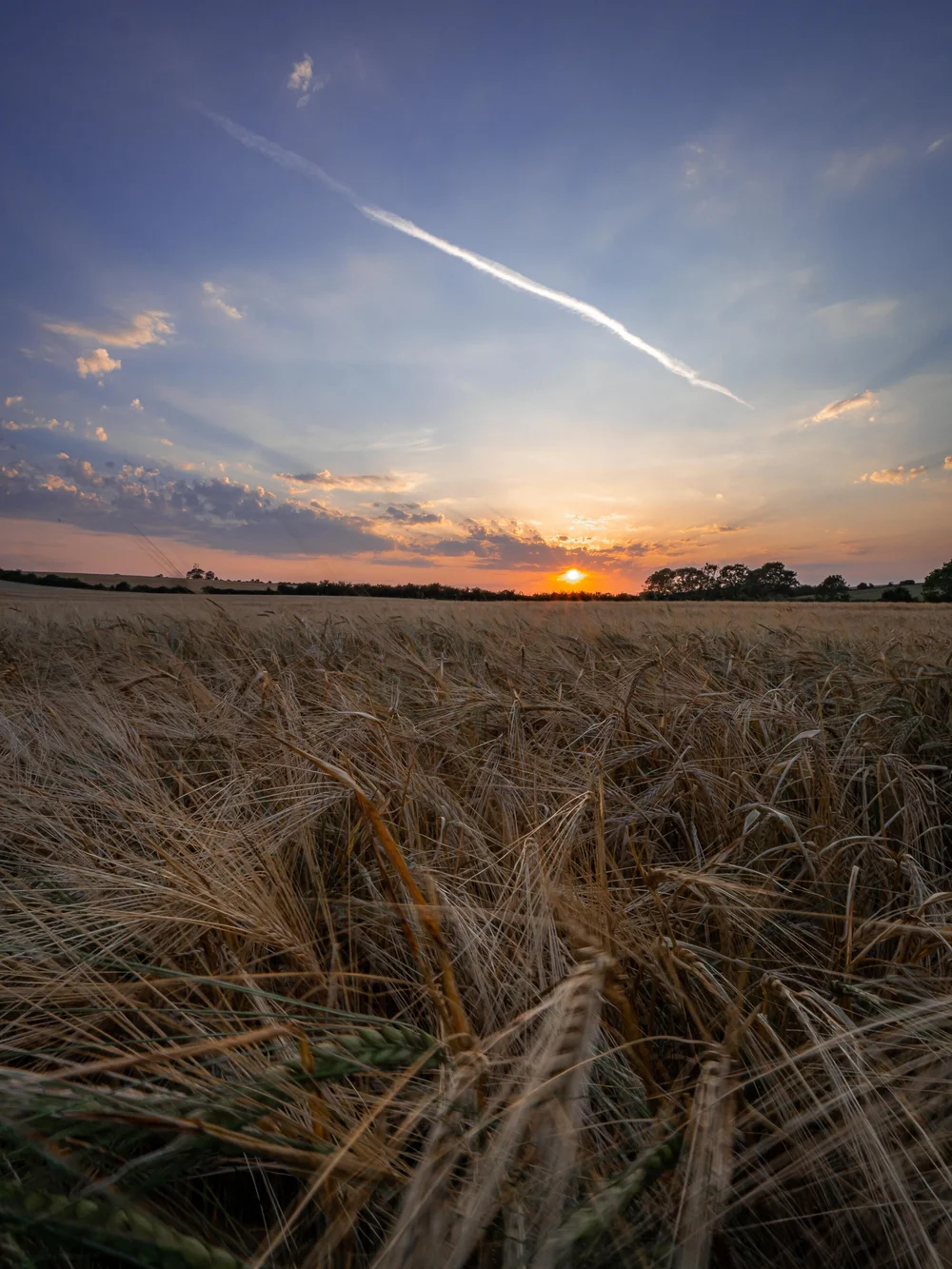 09 August 19-08-49 ALEX.jpeg