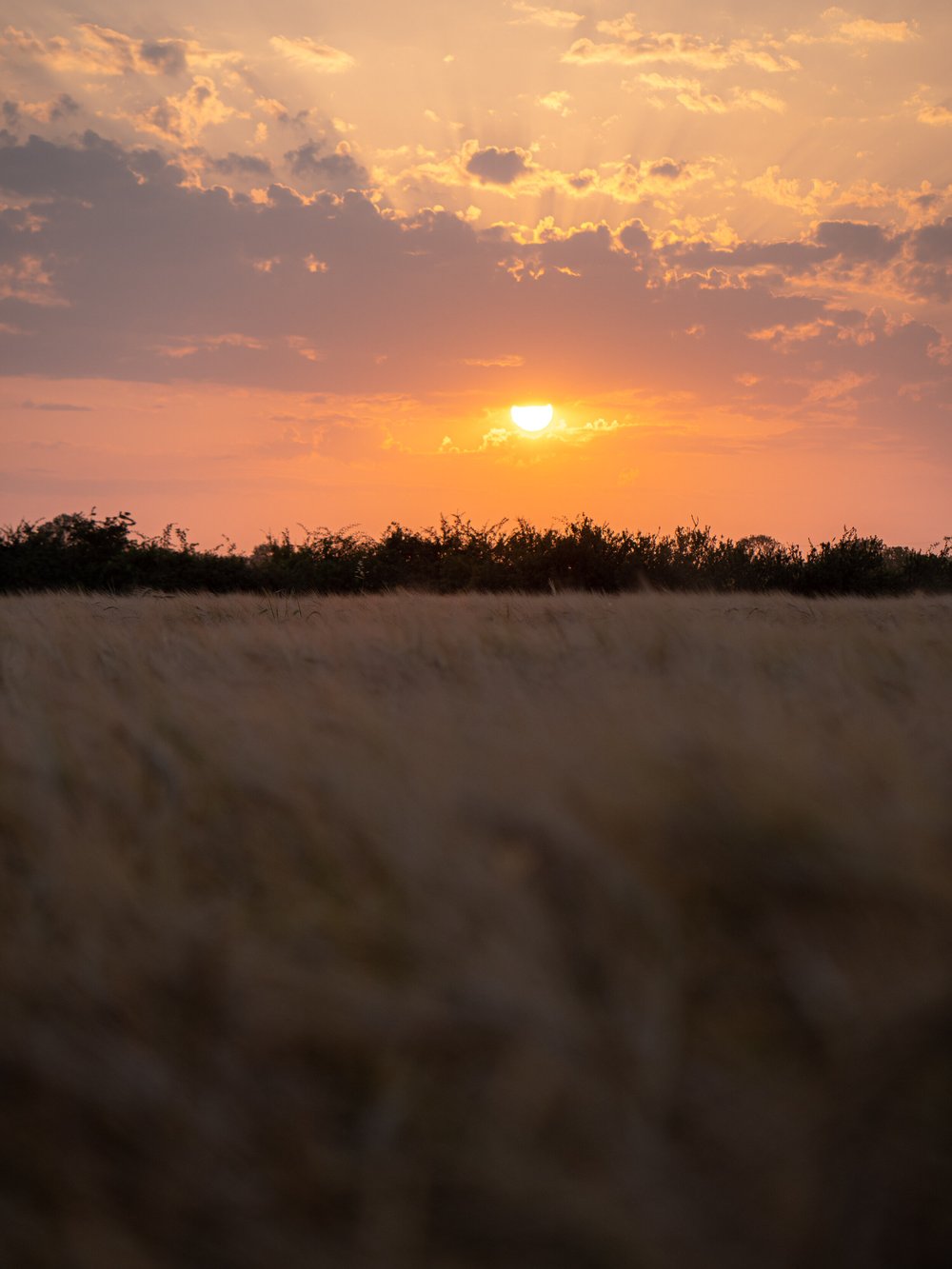 09 August 19-09-36 ALEX.jpeg