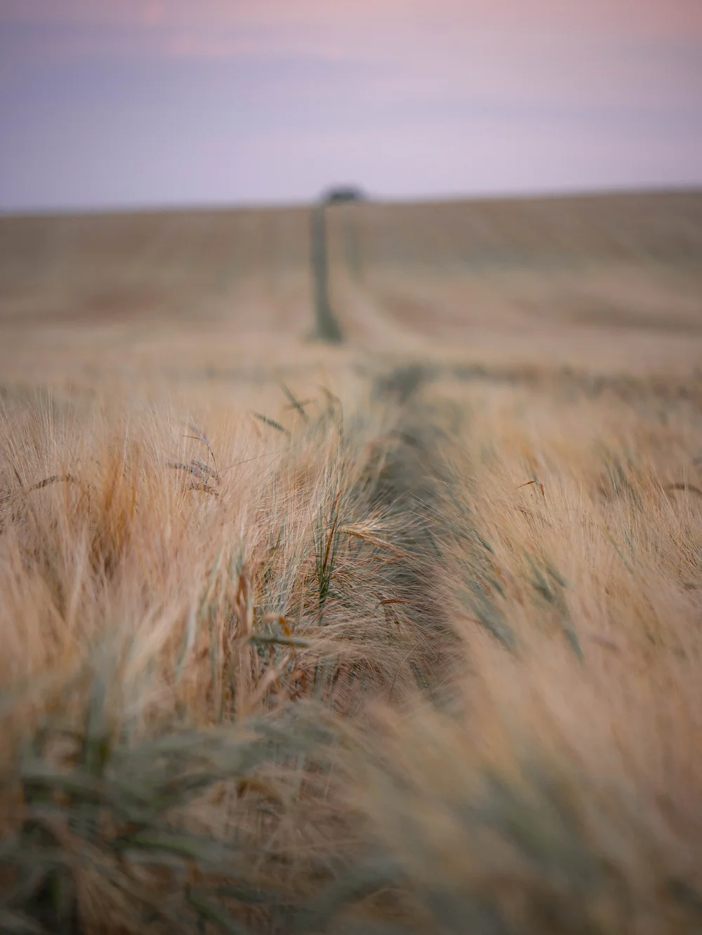 09 August 19-16-50 ALEX.jpeg