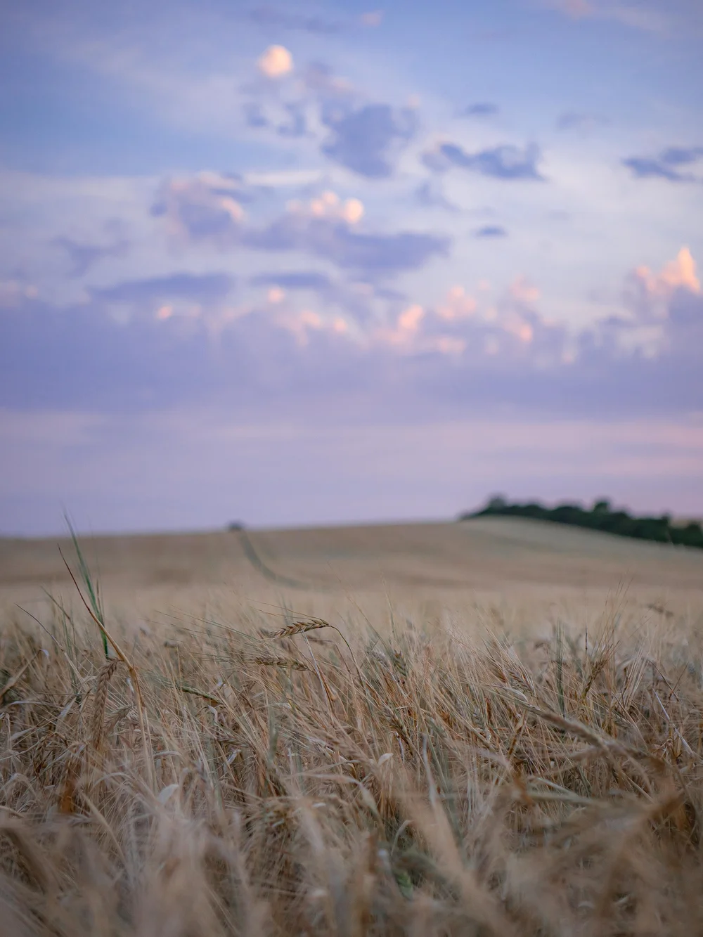 09 August 19-26-17 ALEX.jpeg