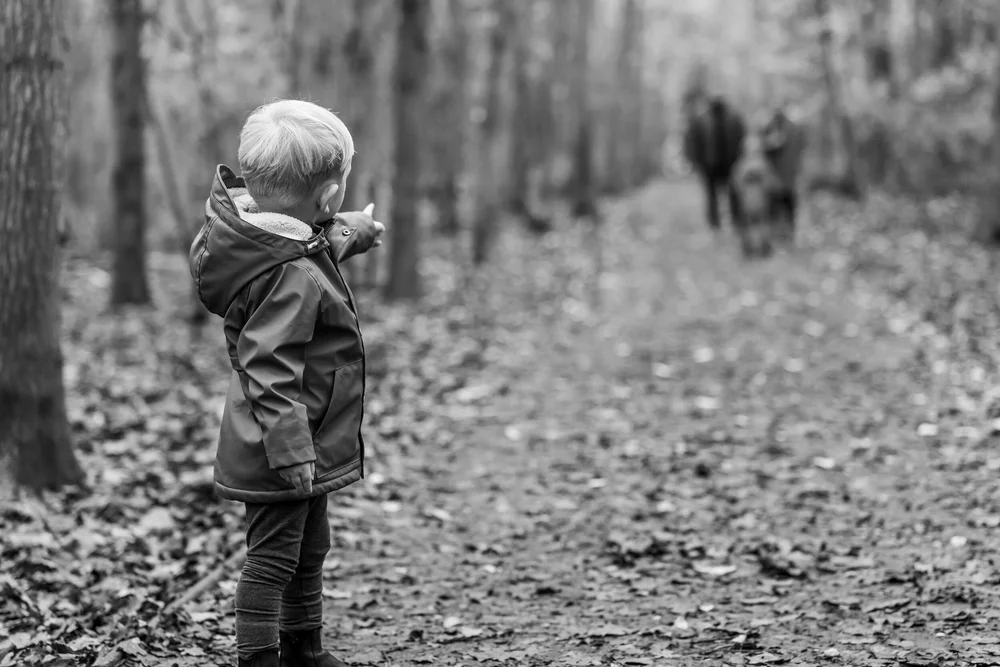 29 November 10-08-46.jpg