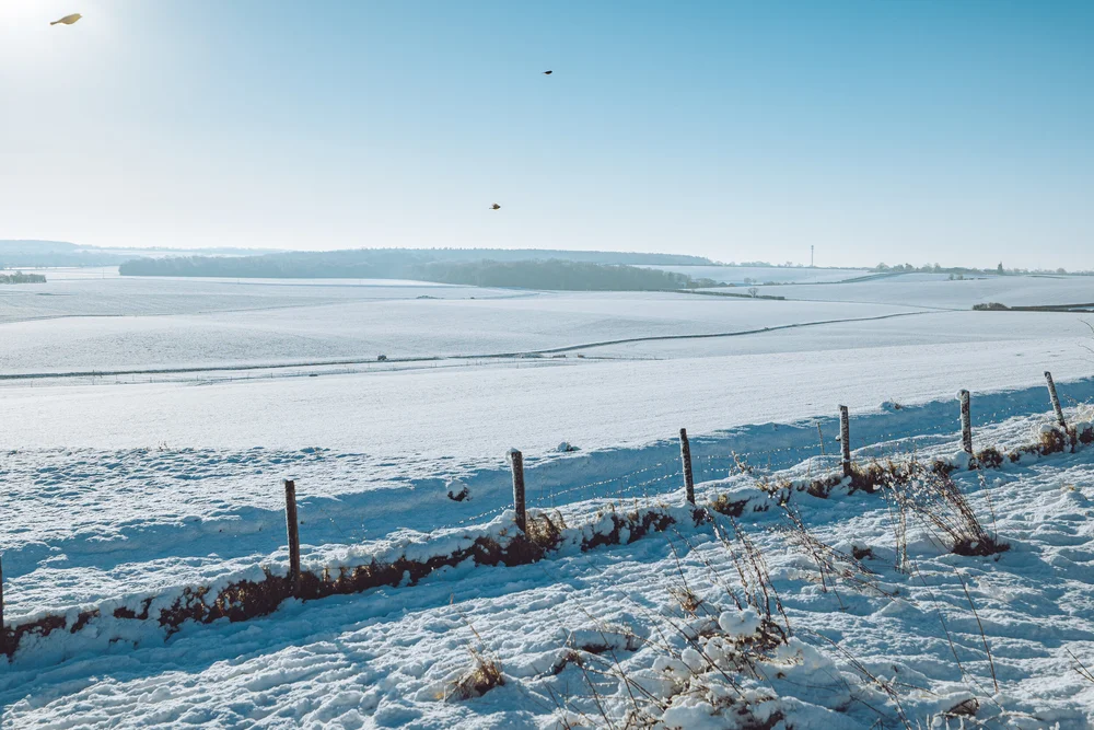 25 January 10-34-08.jpg