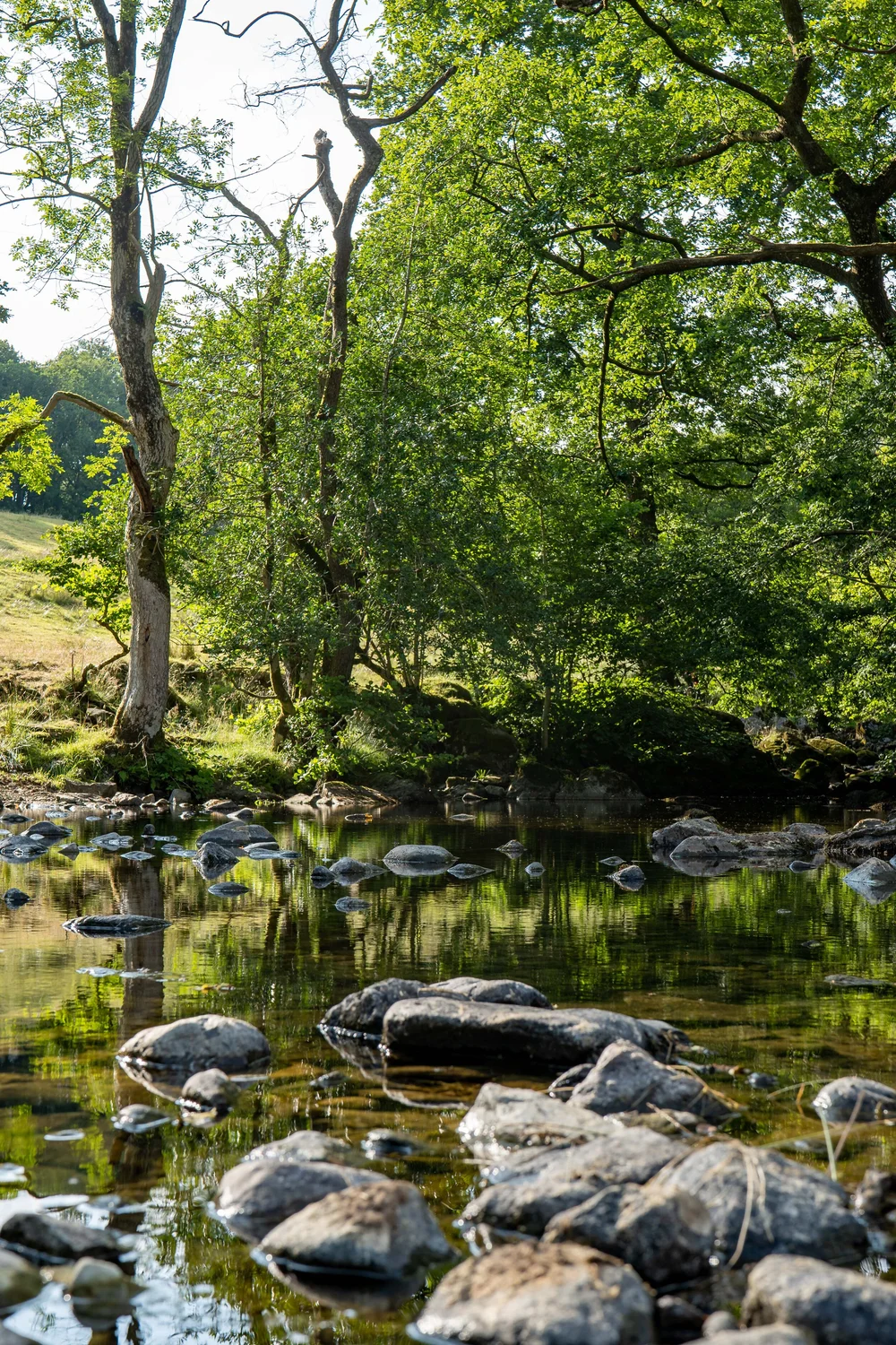 26 July 17-46-24.jpg