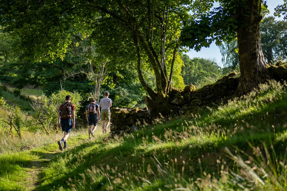 26 July 17-49-52.jpg