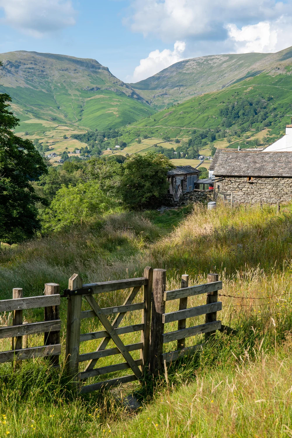 26 July 17-51-39.jpg