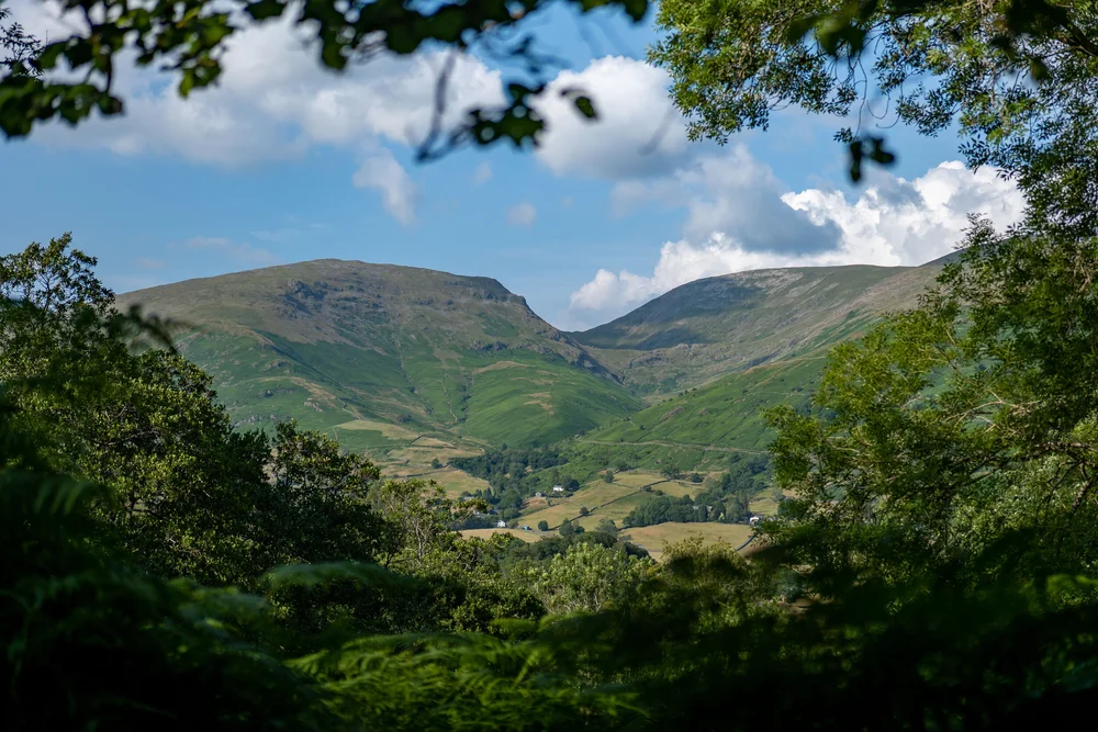 26 July 17-53-45.jpg