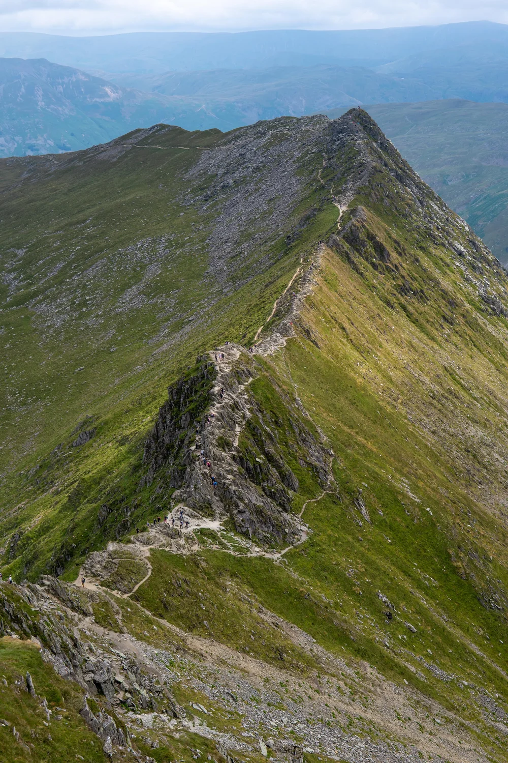 27 July 12-06-01.jpg