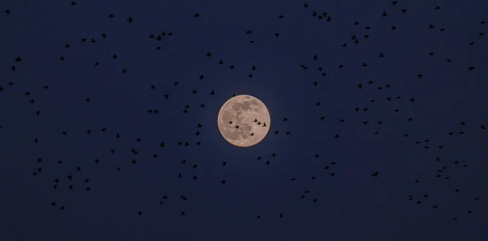 26 February 18-47-48.jpg