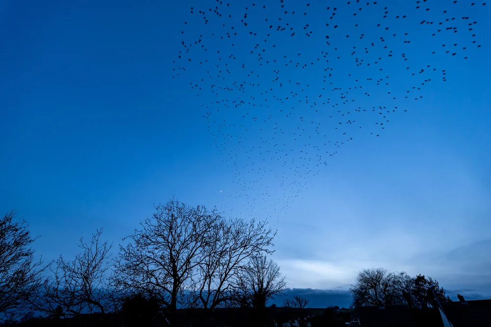 15 February 18-26-02.jpg