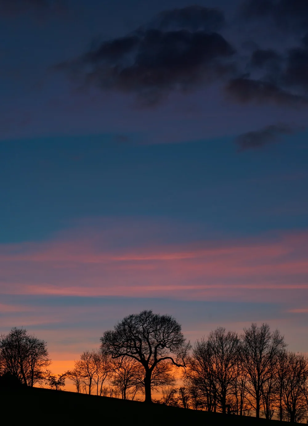 26 February 18-53-06.jpg