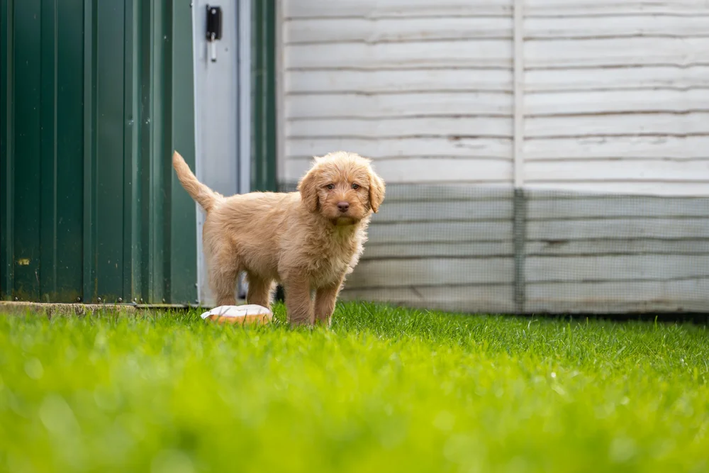 31 March 15-30-17.jpg