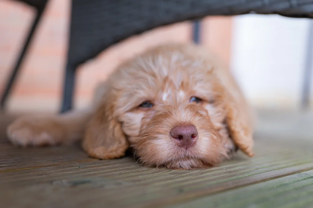 31 March 16-24-33.jpg