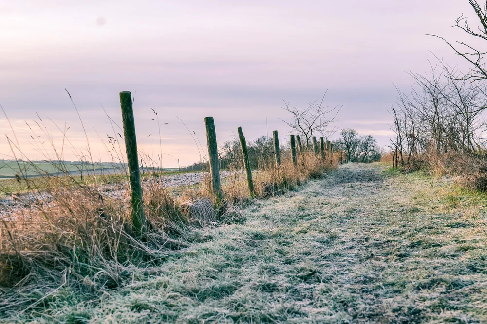 22 December 09-26-35.jpg