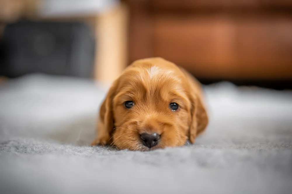 26 June 11-13-53.jpg