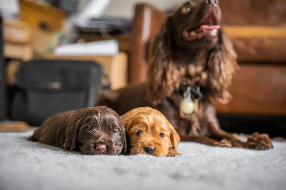 26 June 11-24-25.jpg